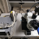 红外显微镜流体包裹体